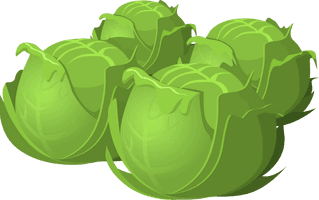 Cartoon Cabbage Food - Free PNG