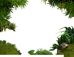 Jungle Border Transparent Image - Free PNG