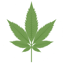 Download Indica - Marijuana Leaf Full Size Png Image Pngkit Pot Leaf