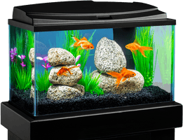 Fish Tank Aquarium PNG File HD