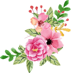 Peony Simple Transparent Png Clipart - Pink Watercolor Flower Transparent Background