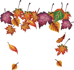 Fall Leaves Falling Png - Autumn Transparent Cartoon Jingfm Transparent Fall Leaves Fall Clipart