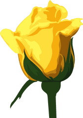 Yellow - Yellow Rose Png