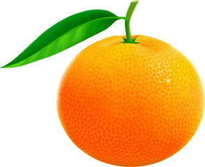 Free Orange Png Download Clip Art - Clipart Of Orange