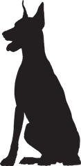 Download Great Dane Sitting Silhouette - Doberman Silhouette Clip Art Png