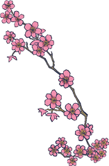 Cherry Blossom Hd Png Clipart - Cherry Blossom Tattoo Designs