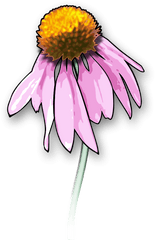 Flower2 - Dead Flowers Clipart Png