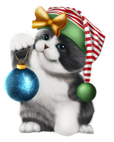 Christmas Cat PNG Free Photo