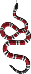 Download Decal Kingsnakes Gucci Sticker Serpent Png Free - Gucci Snake Logo