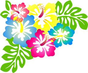 Flores Luau Png 1 Image - Hibiscus Clip Art