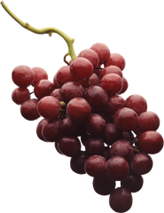 Red Grapes Png Image For Free Download - Grape Png