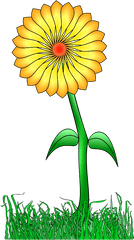 Yellow Flower - Clip Art Png