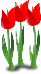 Mothers Day Clipart Mother Icon - Flower Day Clipart Png