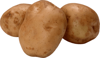 Potato Png Images