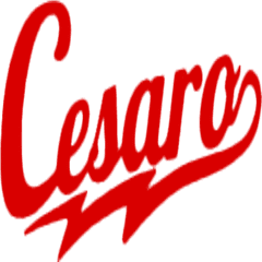 Wwe 2k15 - Wwe Cesaro Logo Png