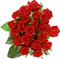 Bouquet Of Roses Png Image Picture Download