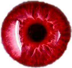 Download Personas Albinas Ojos Rojos - Rarest Eye Colors In The World Png