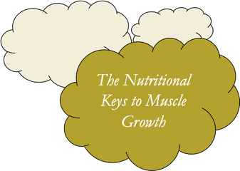 Nutrition For Muscle Growth - Big Png