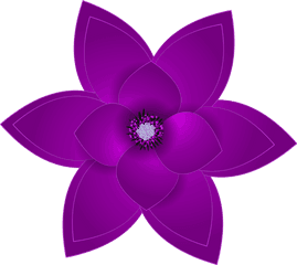 Flower Purple Png Picture Flowers