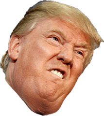 Donald Trump Head Transparent - Things About Donald Trump Png