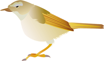 Japanese Bush Warbler Bird Clipart Free 2721496 - Png American Sparrows