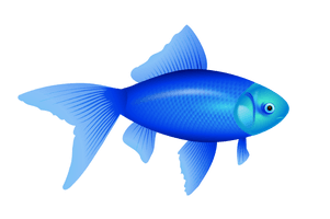 Blue Fish Png Image