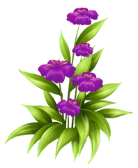 Purple Flowers Png Clipart Picture