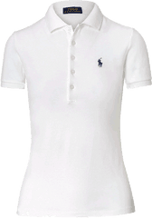 Download Hd 1 Item In Polo Ralph Lauren - Polo Shirt Polo Shirt Png