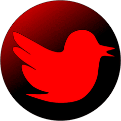 User Account - Red Twitter Icon Transparent Png