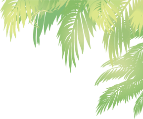 15 Palm Vector Png For Free Download - Vector Palm Leaf Png