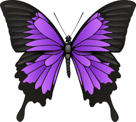 Png Clip Art Purple Butterfly