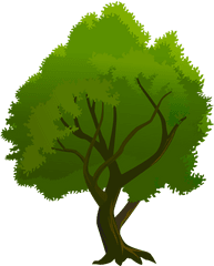 Tree Png - Para Firmas De Correo