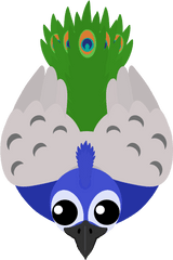 Peacock - Paki Animals Mope Io Png