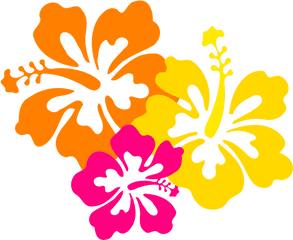 Free Hawaiian Flowers Png Download - Hawaii Flower Clipart