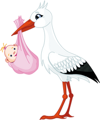 Stork Png Images - Stork With Baby Png