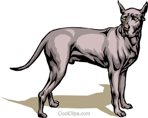 Download Great Dane Royalty Free Vector - Transparent Great Dane Clipart Png