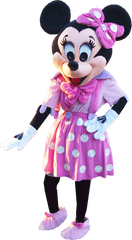 Download Minnie Mouse - Mascot Full Size Png Image Pngkit Mascot