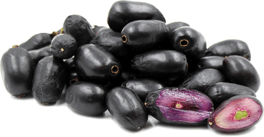 Jamun Java Plum Photos - Free PNG