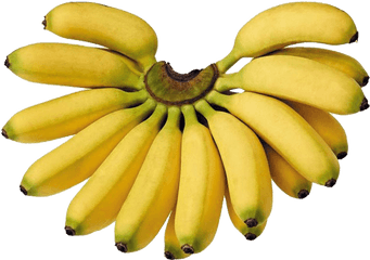 Download Hd Bananas - Lady Finger Lady Finger Banana Png Finger Banana