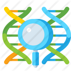 Genetics - Free Education Icons Circle Png