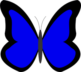 Butterfly Clipart Sky Blue Picture 312191 - Butterflies In Blue Colour Png