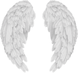White Angel Wings Png 45145 - Png Images Pngio Transparent Background Angel Wings Png