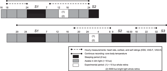 Experimental Design Of The Two Experiments Top Daytime - Screenshot Png