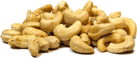 Photos Nut Cashew Free Download PNG HQ