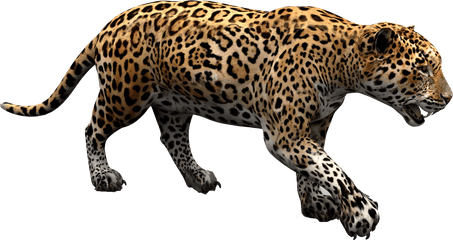 Download Free Png Jaguar - Jaguar Png