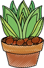 Succulent Clipart - Clipartworld Vertical Png