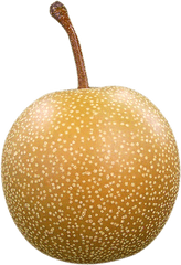 Asian Pear Png Image - Asian Pear Png