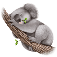 Koala PNG Download Free