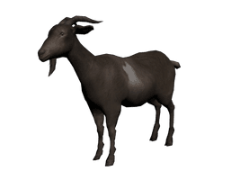 Pic Goat Free Clipart HQ - Free PNG