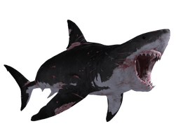 Big Shark Megalodon HD Image Free - Free PNG